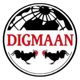 ic-logo-footer (2)