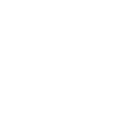 ic-logo-footer (33)