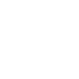 ic-logo-footer (55)
